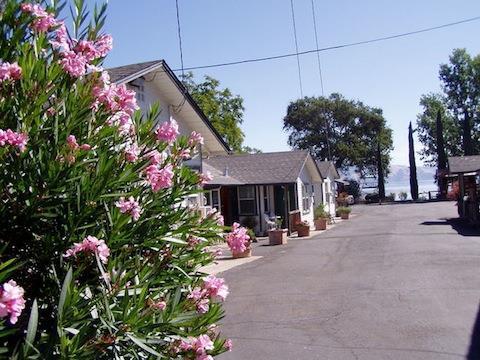 The Mallard House Inn Lakeport 外观 照片